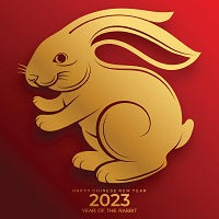 2023 China Spring Festival Vacation Plan