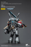 JOYTOY Warhammer 40k 1: 18 Grey Knights Interceptor Squad